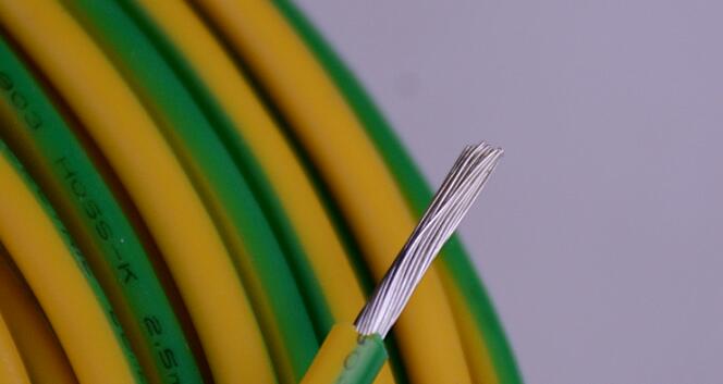 µçÏßµçÀÂÐÐÒµÉú³¤Ì¬ÊÆ