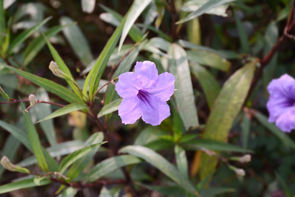 abpay����Ǯ������ - �����徲