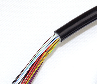 �͸�����������о�����߶���